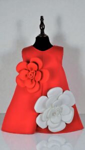 WhatsApp Image 2026-01-20 at 1.49.08 PM